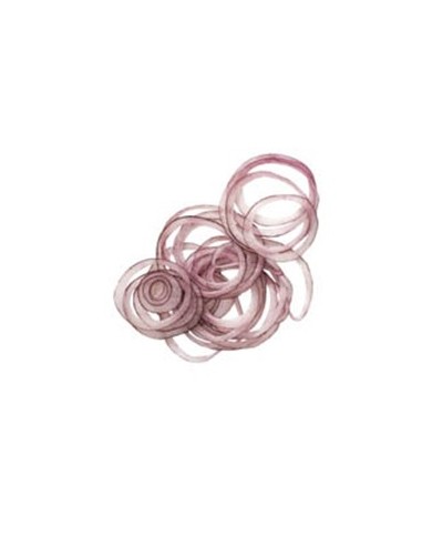 Disque éminceur 1 mm - Ø 175 mm | Robot Coupe - 27051 - 1