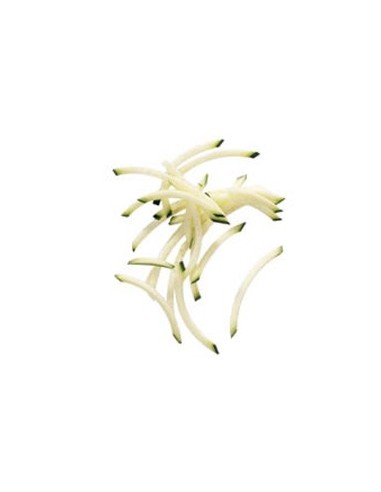 Disque Bâtonnets & Julienne 2x4 mm - Ø 190 mm | Robot Coupe - 27072W - 1