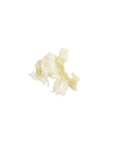 Disque à râper 1.3 mm - Ø 175 mm | Robot Coupe - 27130 - 1