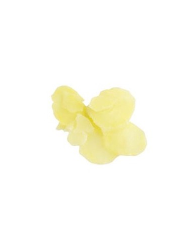 Disque éminceur pommes de terre cuites RobotCoupe 4 mm - Ø 190 mm - 1