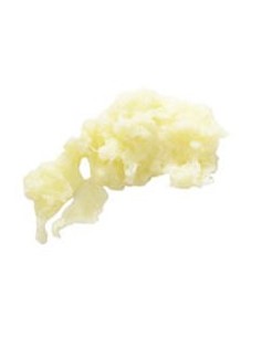 Disque à râper raifort RobotCoupe 1 mm - Ø 190 mm - 1