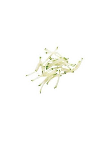 Disque Bâtonnets & Julienne 3x3 mm - Ø 190 mm | Robot Coupe - 28101W - 1