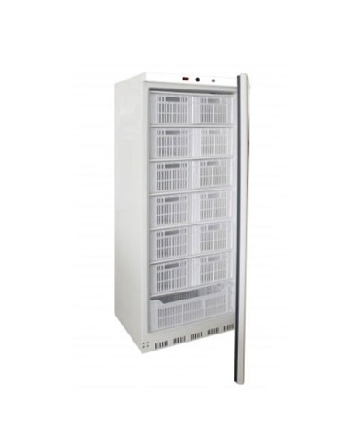 Armoire réfrigérée négative laquée blanc 600 litres L2G - 1