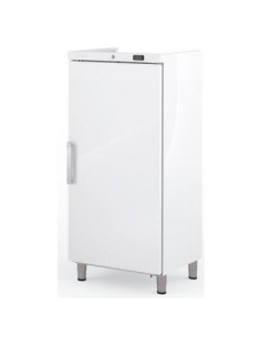 Armoire réfrigérée négative blanche GN 2/1 - 532 L - 1