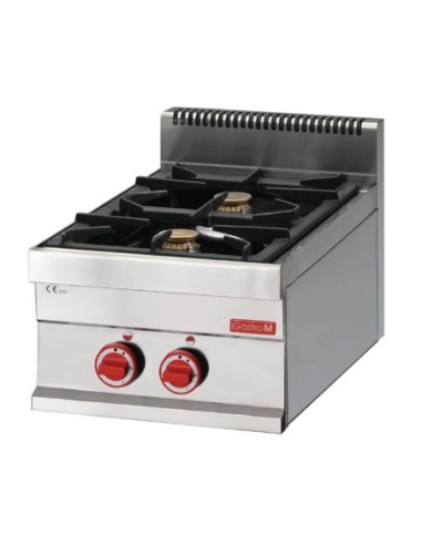 2 feux vifs gaz à poser Gastro M 65/40 PCG - 1