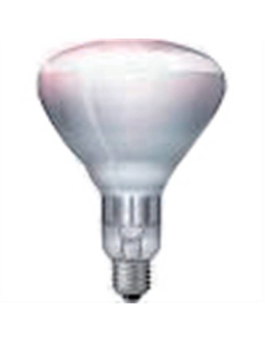 Ampoule blanche - 375 W - 1