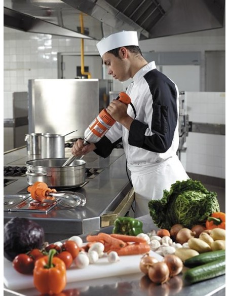 Mixeur plongeant Pied fixe couteau 3 lames Senior MX 300 - 2