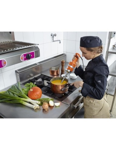Mixeur plongeant Pied fixe couteau 2 lames Junior MX 225 - 2