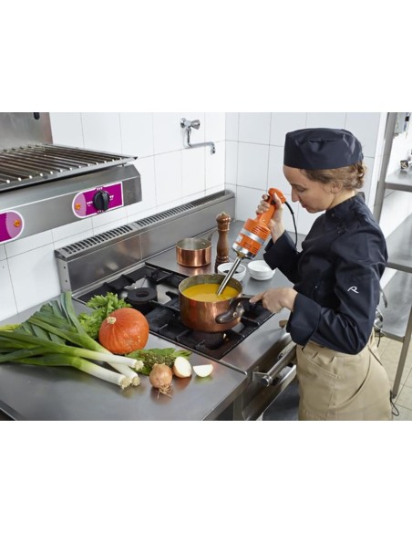 Mixeur plongeant Pied fixe couteau 2 lames Junior MX 225 - 2
