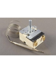 Thermostat Buffalo - 1