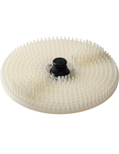 Brosse de rechange pour lave-moules FIMAR - 1