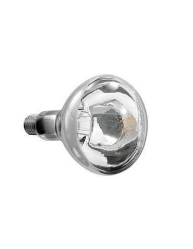 Ampoule chauffante à vis Philips 250 W | Bartscher - 114277 - 1