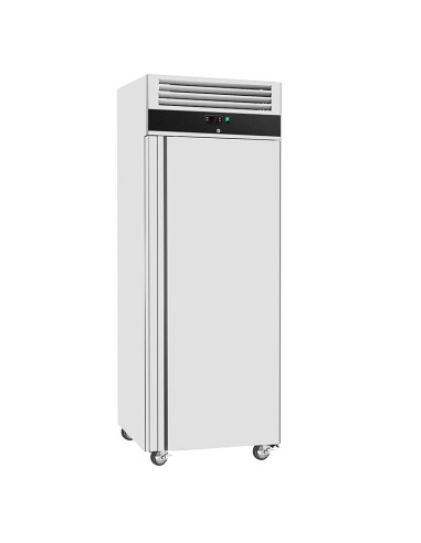 armoire refrigeree positive série eco 600l