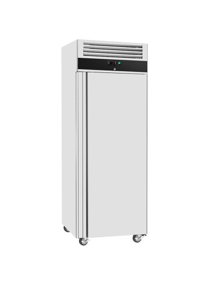 armoire refrigeree positive série eco 600l