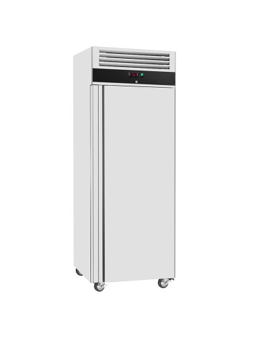 armoire congelateur gn2/1 600l