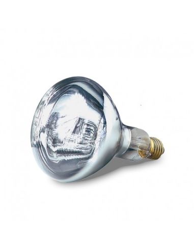 Ampoule blanche E27 - 375 W | Sofraca