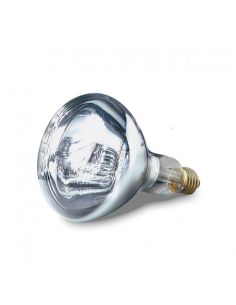 Ampoule blanche - 250 W