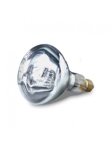 Ampoule blanche - 250 W