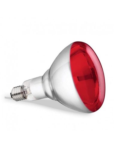 Ampoule rouge - 250 W