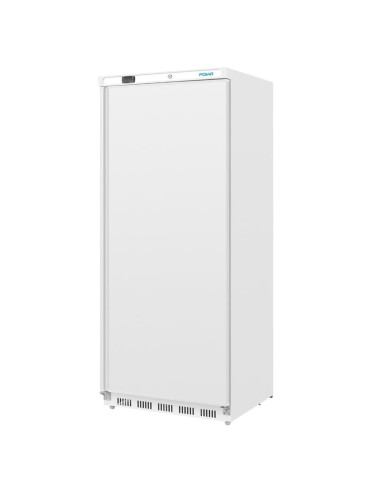 Armoire réfrigérée positive 1 porte blanche Polar Série C 600L