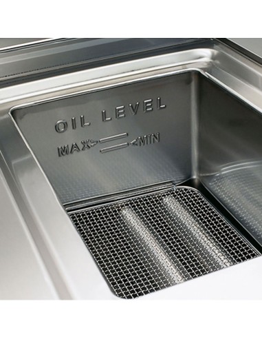 bac friteuse à gaz professionnelle 10 litres à poser