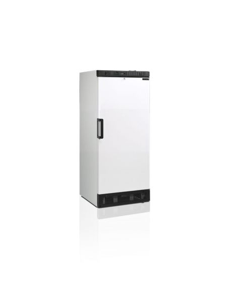 Armoire réfrigérée positive de stockage - 190L - SDU1220