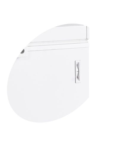 Congélateur de crème glacée 557L - Couvercle battant en acier - FR605SSL