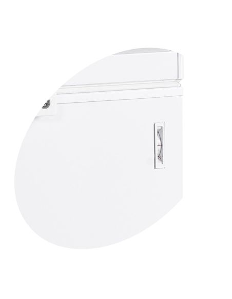 Congélateur de crème glacée 454L - Couvercle battant - FR505SL