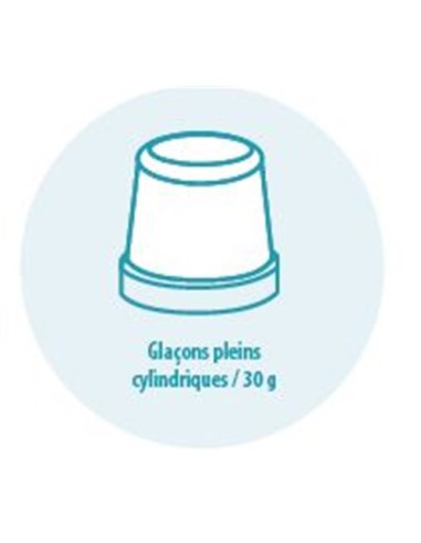 taille des glaçons tete de production glaçons pleins 345 kg/24h | ITV