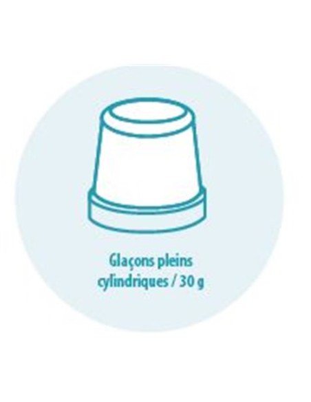 taille des glaçons tete de production glaçons pleins 345 kg/24h | ITV