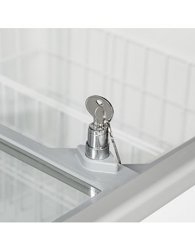 Congélateur de crème glacée 255 L - Coulissant vitré - IC301SC