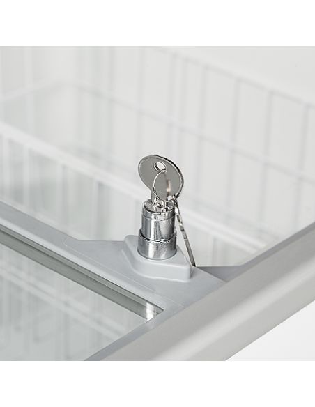Congélateur de crème glacée 255 L - Coulissant vitré - IC301SC