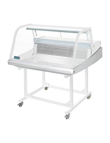 Vitrine réfrigérée de comptoir à poisson Polar Série G 175L
