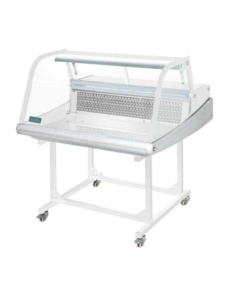Vitrine réfrigérée de comptoir à poisson Polar Série G 175L