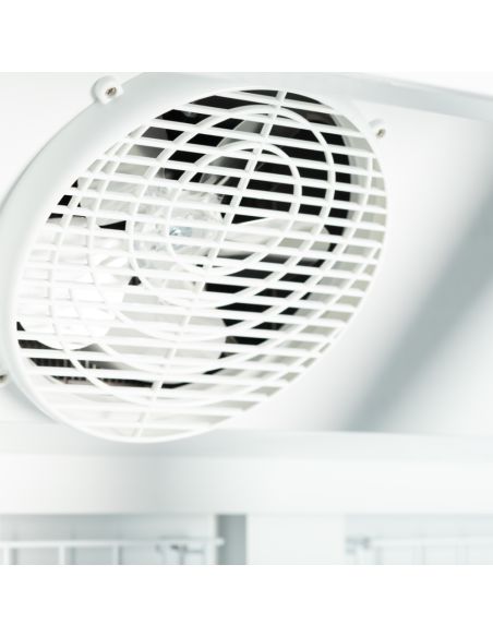 Congélateurs verticaux de vitrine Noir RAL9005 / -18 à -22 °C - 390 L | Atom Maxi F1DB