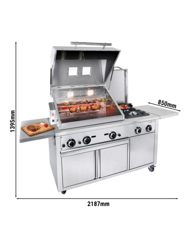 Station de Grill Gaz Professionnelle avec...