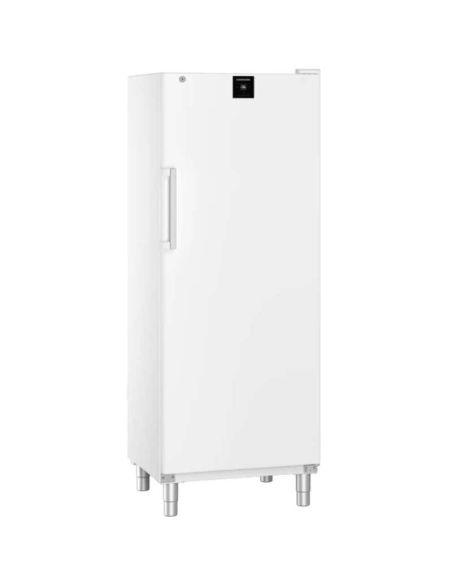 Armoire négative statique, blanche, 573L | Liebherr - FFFSG6501