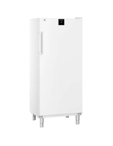 Armoire positive GN2/1, blanche, 571L | Liebherr - FRFVG5501