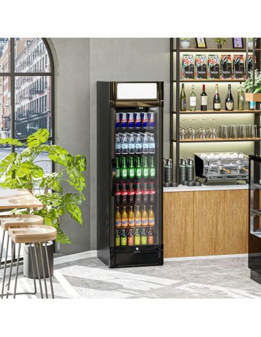 Armoire à boissons noire porte battante avec canopy - 347L