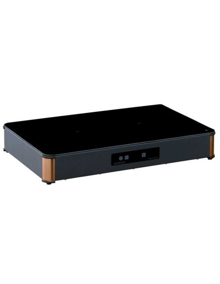 Buffet posable à régulation électronique HOT PLATE | ADVENTYS