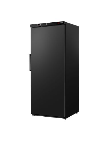 Réfrigérateur de stockage ECO 400 L – 1 porte – Noir – 206 W
