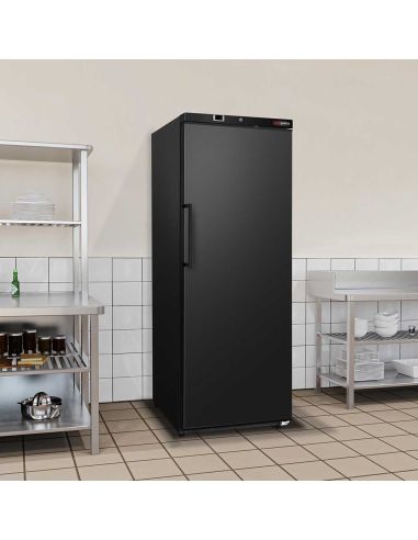 Réfrigérateur de stockage ECO 400 L – 1 porte – Noir – 206 W