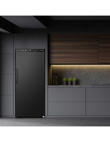 Réfrigérateur de stockage ECO 400 L – 1 porte – Noir – 206 W