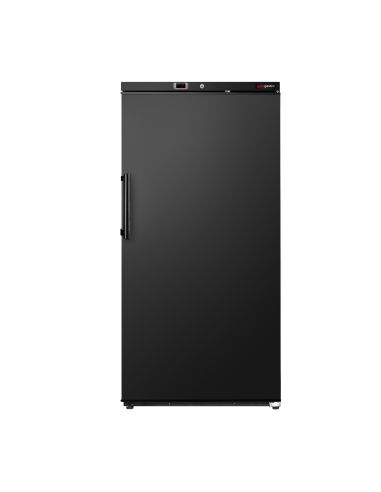 Réfrigérateur de stockage ECO 600 L – 1 porte – Noir – Froid statique