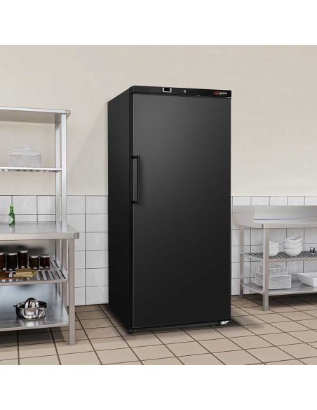 Réfrigérateur de stockage ECO 600 L – 1 porte – Noir – Froid statique