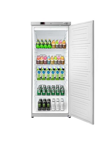 Réfrigérateur de stockage ECO 400 L – 1 porte - Inox et ABS – Air pulsé
