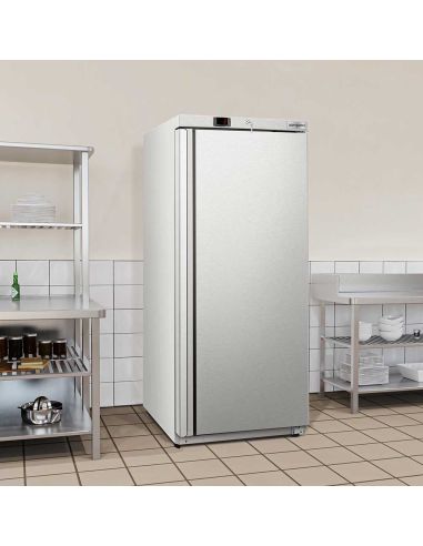 Réfrigérateur de stockage ECO 600 L – 1 porte – Inox et ABS – Air pulsé