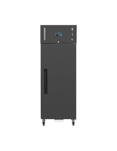 Armoire réfrigérée négative série G noire 537 L - Polar - PG021