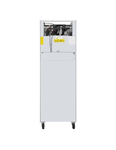 Armoire réfrigérée positive GN 2 portillons série G 600L - Polar - PG052